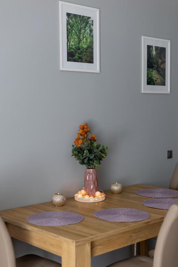 Apartament Silver Duszniki Zdrój Zewnętrze zdjęcie